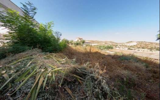URBAN PLOT IN ARBOLEAS