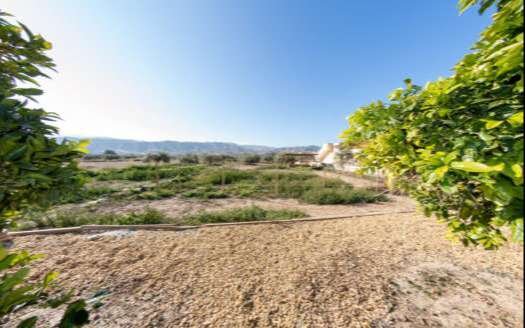 CORTIJO IN ARBOLEAS