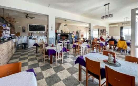BUSINESS PREMISES AND APARTMENT IN ARBOLEAS