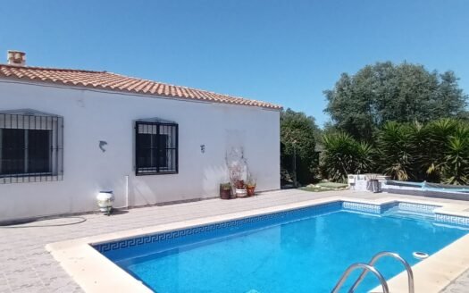 VILLA IN ALMAZORA AREA
