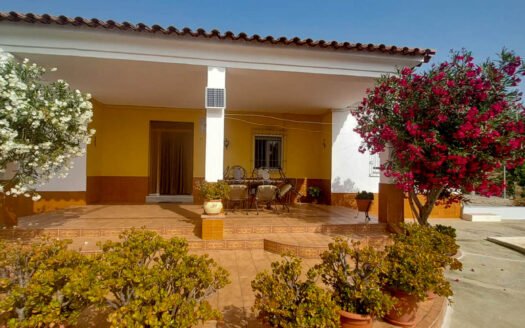House in Cuevas
