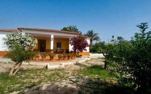 House in Cuevas