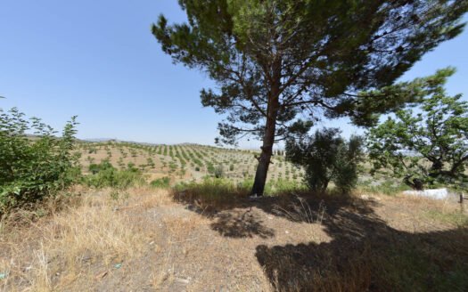 Contry house in Vélez-Rubio area