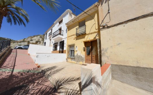 VILLAGE HOUSE IN ZURGENA