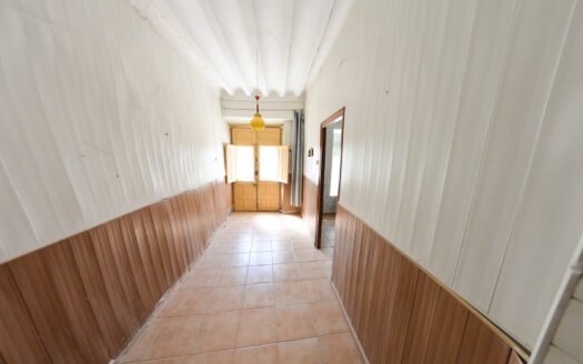 VILLAGE HOUSE IN ZURGENA