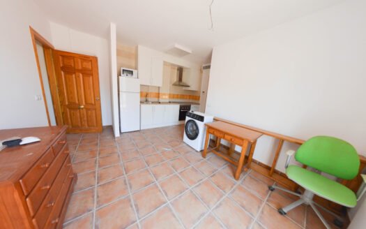 ATTIC IN ARBOLEAS