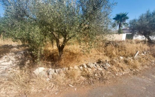 CORTIJO IN ARBOLEAS AREA
